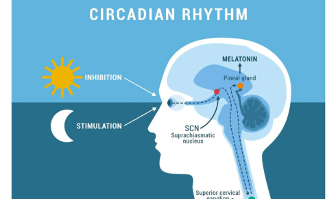  How Hormonal Changes Can Affect Mood, Sleep and Energy Through the Month